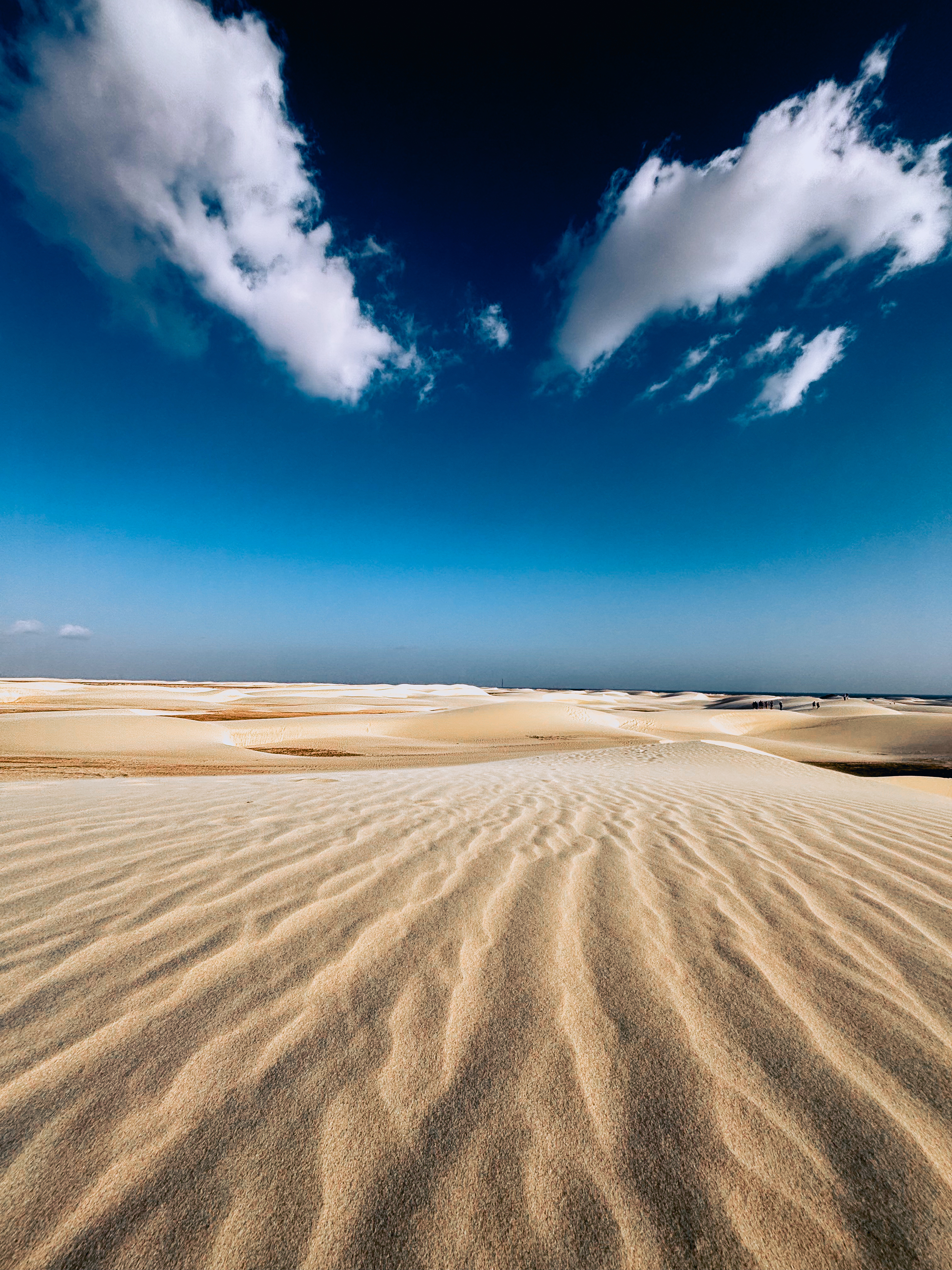 ONE PIECE Travel Team in Socotra Island